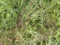 This must have been a slug convention!