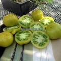 lime-green-salad.jpg