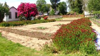 Peak crimson and bees are loving it! Peak crimson and bees are loving it!