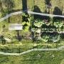 dji_0556.jpg