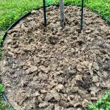 Manure became rigid Manure became rigid