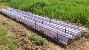 Plastic panels for row covers