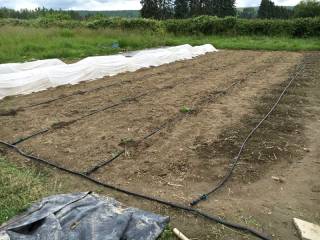 Valves allow controlled watering of each row
