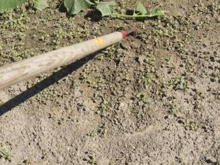 Pushing and pulling the how parallel to the ground