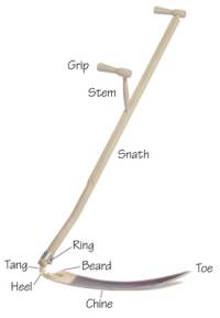 A scythe has a few parts, each with a name
