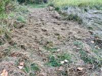 Mowing a pathway